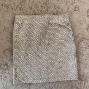 Elegant Silver Women's Skirt